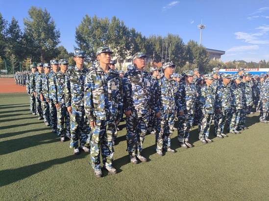 50bd560d477a0a989628285a9edd93f